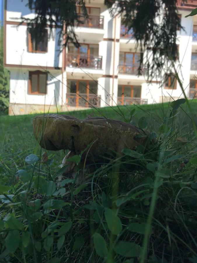 Family Apartment "Cosy Nature" Szmoljan Kültér fotó